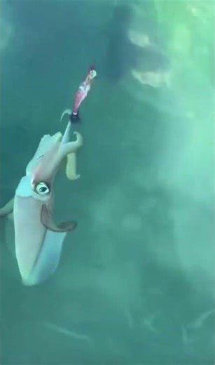 Catching squid with a rod 🦑