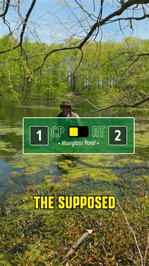 9.1K views · 64 reactions | Sometimes you win, sometimes you lose! #snappingturtle #puddle #scavengerhunt #bravewilderness | Brave Wilderness | Facebook