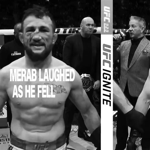 Oh Merab🇬🇪💔 #merabdvalishvili #themachine #ufcbrasil #ufc #ufcedit | ufc edit