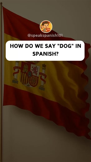 Learn Animals in Spanish: A Fun Language Guide