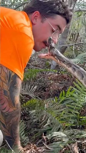 PYTHON BIT MY FACE 🤣🐍 #snakebite #ytshorts #shorts