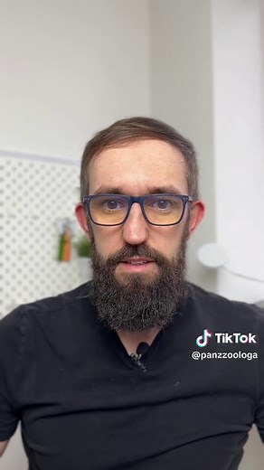 Karma z Biedronki dla Kota - Co Kupić w Nagłych Przypadkach