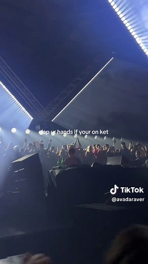 Clap Your Hands: Fun Activities for a Catty Atmosphere