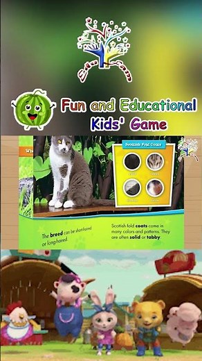 🐱🦉 Sweet Scottish Folds! | Meet the Owl Cats! | Animal Safari | EduFam Kids TV ✨