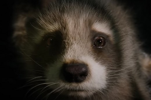 Does Rocket die in Guardians of the Galaxy Vol 3?