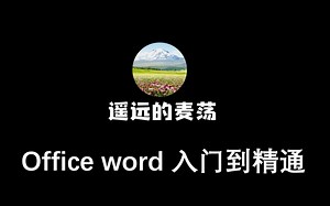 Office word 入门到精通