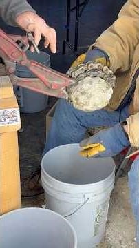 Splitting a #double #bubble apart & cracking a #golden quartz geode open with #crystals