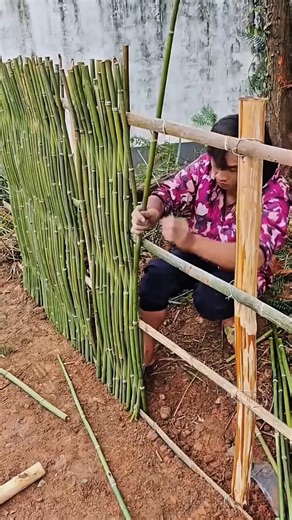 Don't forget to remember the technique of building a fence with thin bamboo.