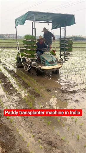 Paddy transplanter machine in India 👿🌾 #shorts #khetibadi #viral