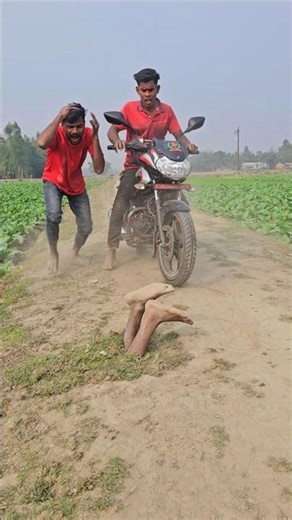 Two men came and saw two legs.