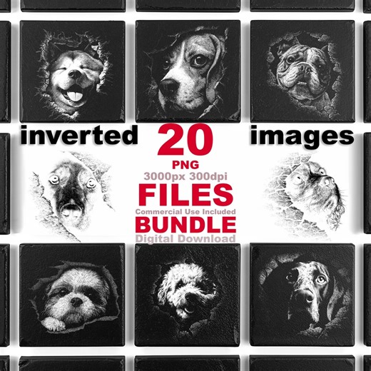 20 Wildlife Engraving Designs for Slate, Animal Stone Art, Laser Engraving PNG - Etsy