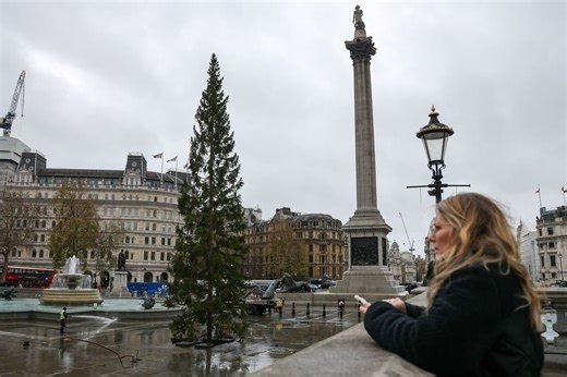 The Trafalgar Square Christmas Tree is here - and the reaction is mixed