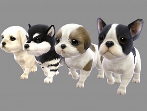 Puppy Set | 3D | Unity Asset Store