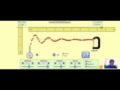 Wave, Frequency & Amplitude Explained with Live Demo | Physics Practical Experiment