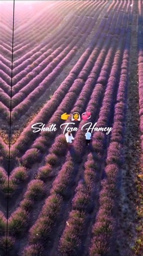 Kuch Baatein Fullscreen WhatsApp Status | Jubin Nautiyal,Payal Dev | Gurmeet C | Kuch Baatein Status