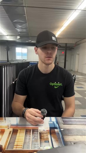 What’s the difference between USAG programs? #usag #gymnastics #sports #gym #wisconsin | Performance Elite Gymnastics