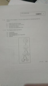 What are the receptors in the ear responsible for maintaining b... | Filo