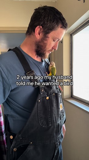 Conure Twitty: The Bird Who Found My Husband's Heart