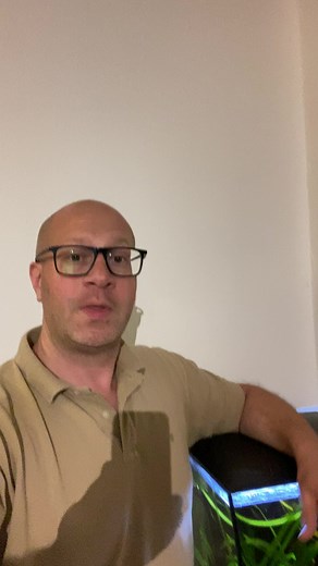 Achtung Abmahnwelle wieder unterwegs Google WebFonts #webseiten #webfonts #internetseiten #aquarium | Totorio-IT