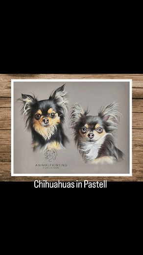 Auftragsarbeit Chihuahuas in Pastell #pastell #pastel #chihuahua #hund #tierportrait | Angela Franke