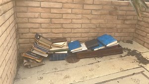 The Shop Forward on Reels