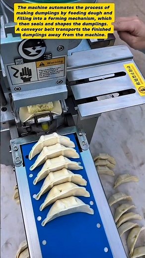 Automated Dumpling Machine: A Culinary Revolution!
