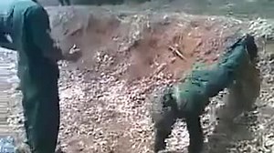 LTTE Womens being tortured after joining in Sri Lankan army Tamil battalion | Sri Lankas war crimes