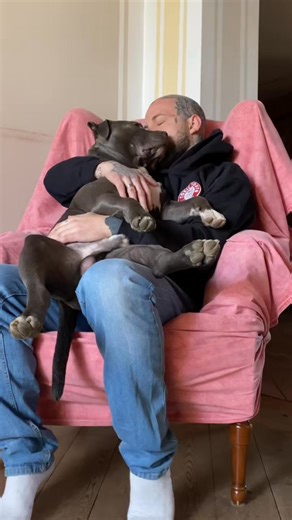 1.1K views · 81 reactions | Best friends forever! ❤️ Nothing beats cuddles and love. #DogLove #BestFriendGoals | Zoe Price | Facebook