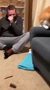 2.1K views · 52 reactions | Kitty brings gift for his sister  | Tickle me funny | Facebook