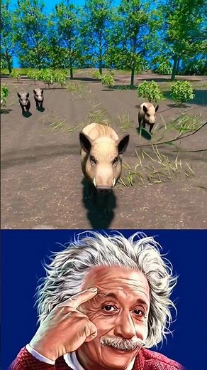 SIGMA PHYSICS TEACHER 🗿| Smart Wild Boar Trap 😲🐗 #sigmaphysics #experiements #alberteinstein #sigma