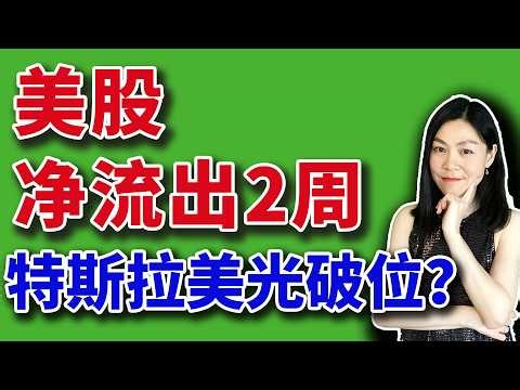 美股：资金净流出２周。特斯拉美光破位？【2026-03-20】