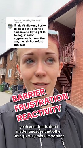 2.5K views · 49 reactions | Barrier frustration reactivity is your...