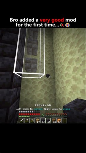 bro added a very good mod for the build #usa