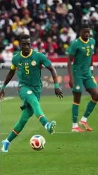 Retour sur les moments forts du Match Sénégal vs Pérou joué au Stade de France