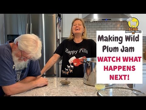 Making Wild Plum Jam