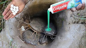 22K views · 76 reactions | how to catch fish with mentos and toothpaste  | Master FIsh | Facebook