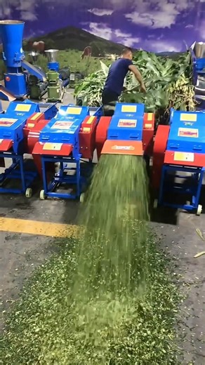 180K views · 1.4K reactions | #Animal husbandry machinery and equipment for cattle and sheep #Agriculture #Grass chopping and shredding machine | New Tecnology | Facebook