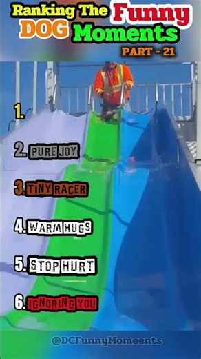 #21 - RANKING FUNNIEST DOG 🐺 😂 #doghowling #dogreactions #dogcompilation