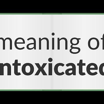 Intoxicated | meaning of Intoxicated