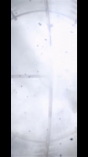 #BoySavior #ARCANE @leagueoflegends @riotgamesmusic @netflix #DearFriendAcrossTheRiver #Ekko #TheBoyWhoShatteredTime #LittleMan #Caitlyn #TheSheriffofPiltover #Piltoversfinest #Matilda #Vi #Violet #EnforcerofPiltover #PowPow #Powder #Jinx #TheLooseCannon #IMissedYou #ADelicateArt #WellGetThroughThis #ThePriceOfOurFreedom #DontForgetAgain #EveryoneElseBetraysUs #ThisCityNeedsHealing #WeCallThemFirelights #ViktorAndTheHexcore #Ambush #DynastiesAndDystopia #OldFriend #LeagueTok #JinxTok #Marcus 👊