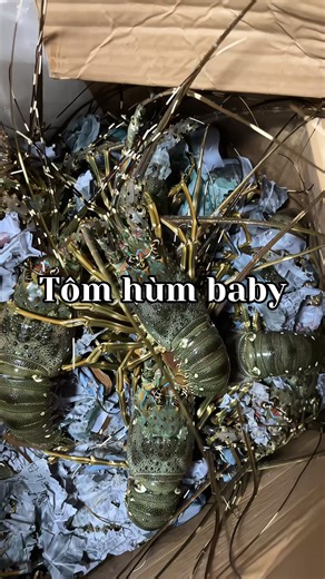 Gần 3 tấn hải sản tại Le Buffet d’Annam dịp Tết 2026