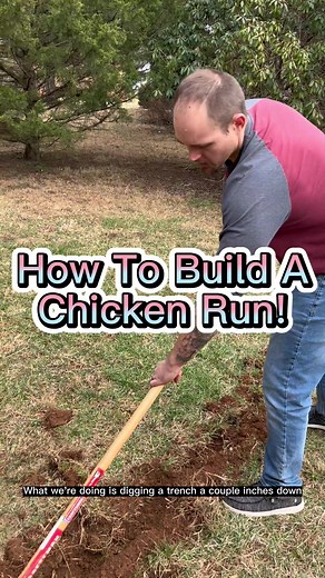 Easy how to for building a chicken run! #chickentok #howto #chickencoop