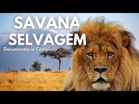 SAVANA AFRICANA - O REINO INDOMÁVEL DA NATUREZA | Documentário Completo