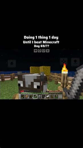 Day 69 Tag your Minecraft Partner