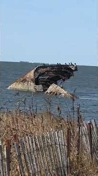 My visit to sunset Beach at Cape May Point. nj