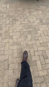 187 reactions · 5 comments | The BMW340D is back for a 300$ software upgrade ⬆️‍… | Carnversations | Facebook