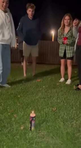 🐸 Frog Took a Firework Ride… and Survived?!