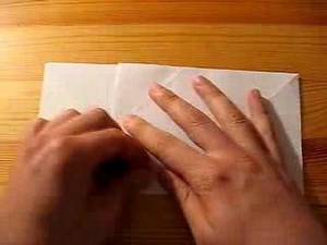 How to Origami a bird couple