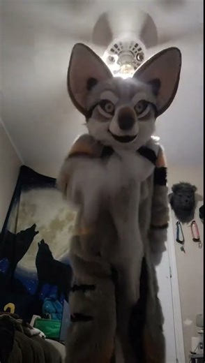 zacharygraywolf myfurrysuitwerewolf myfurrysuit myfurrysuitmasoct furrysuitwerewolf