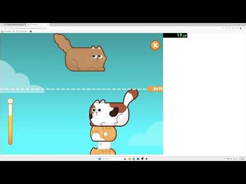 Cat Stacker 20 Feet PB 18s 833ms